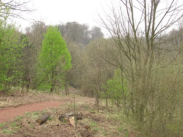 Viewpark Glen