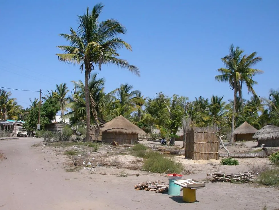 Typical homes and roads in neighborhoods of Vilankulos / Vilankulo, Mozambique.  Note the firewood selling point in the foreground.