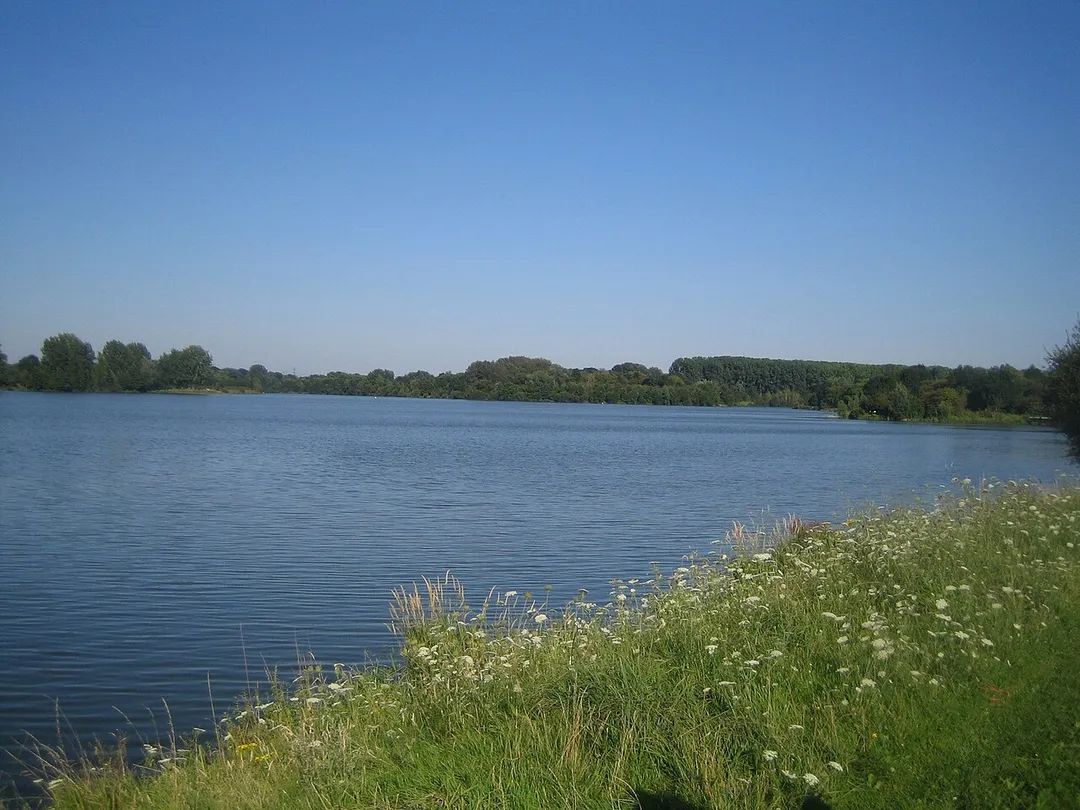 Lac du Héron, à Villeneuve d'Ascq