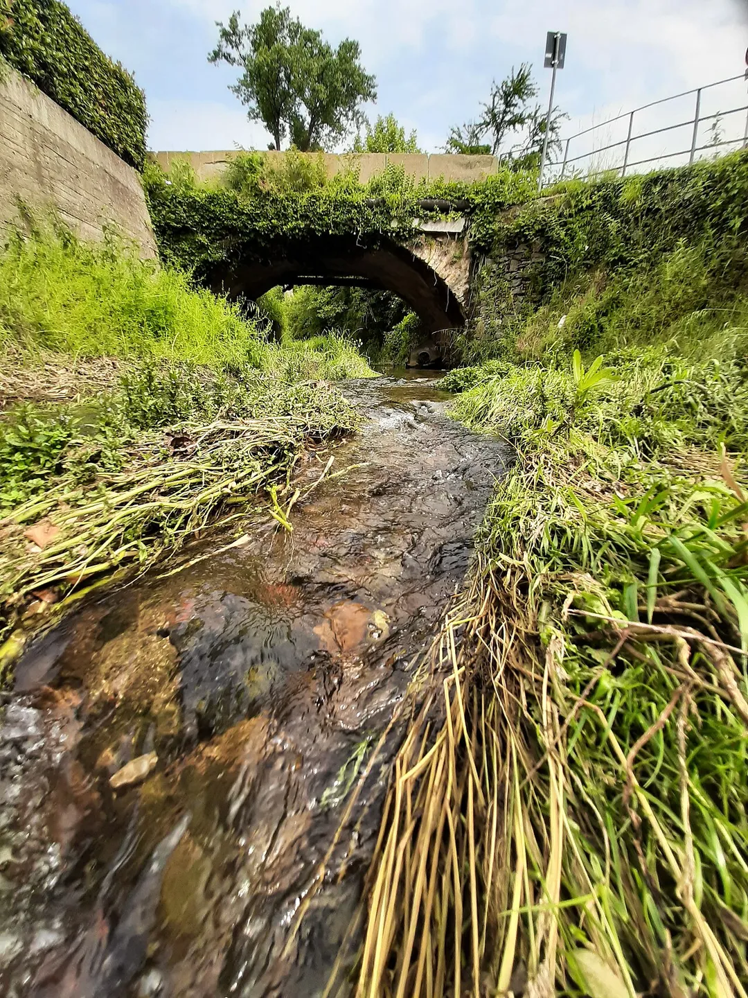 Torrente Uria - Villongo
