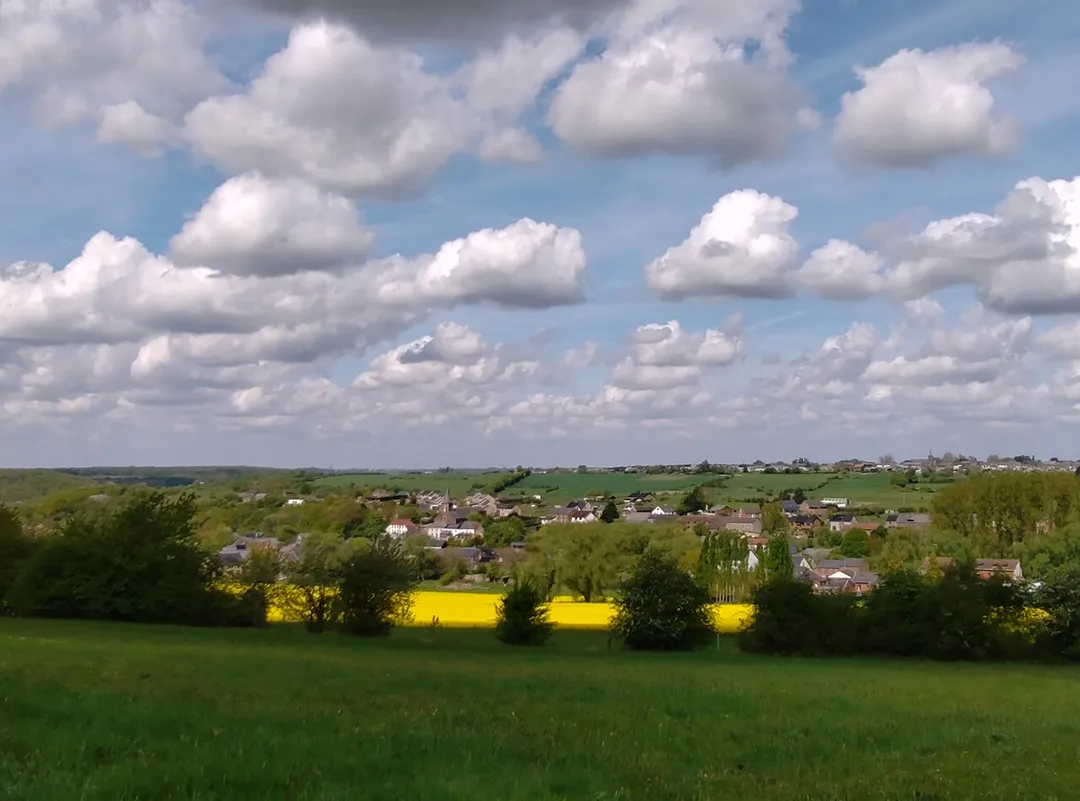 Paysage avec champ de colza à Vitrival, près de Namur (Belgique).
