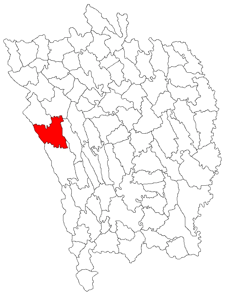 ro:Categorie:Hărţi ale judeţului Vaslui