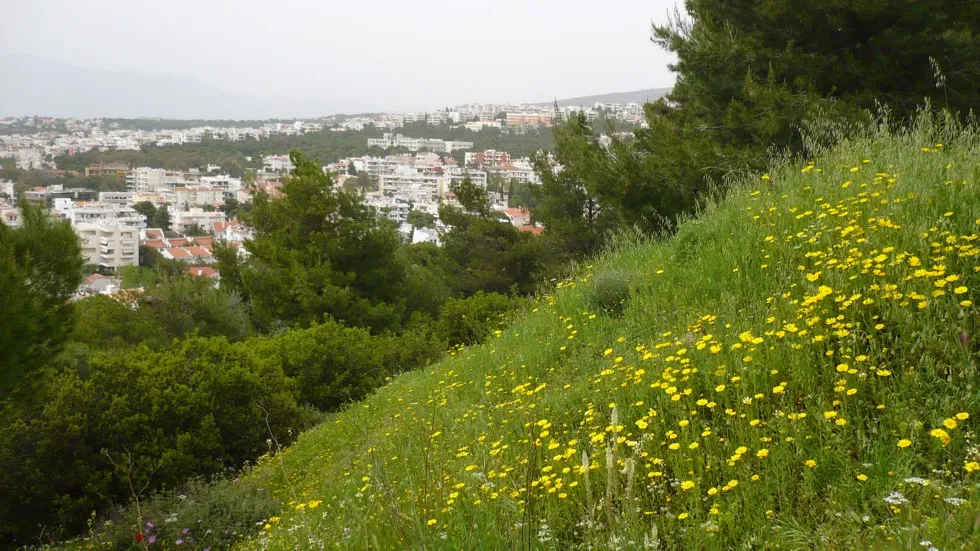 The above picture depicts the penteli scenery.