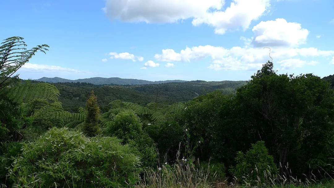 Waiatarua, Auckland, New Zealand