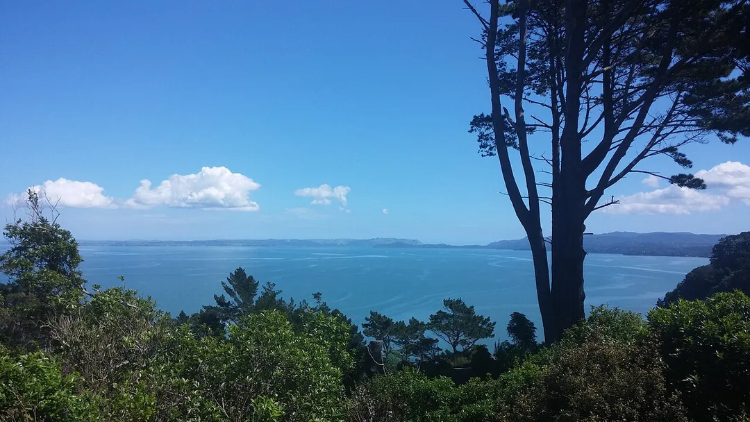 Looking south from Waikowhai, Auckland over the Manukau Harbour.