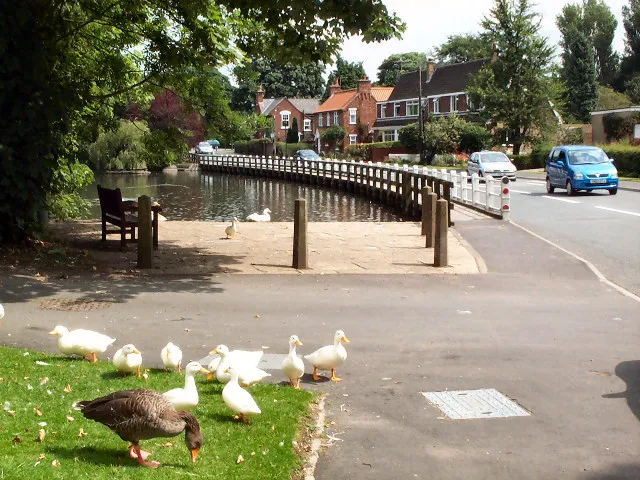 VIllage pond in Walkington, East Riding of Yorkshire, England.On the B1230 looking eastwards.