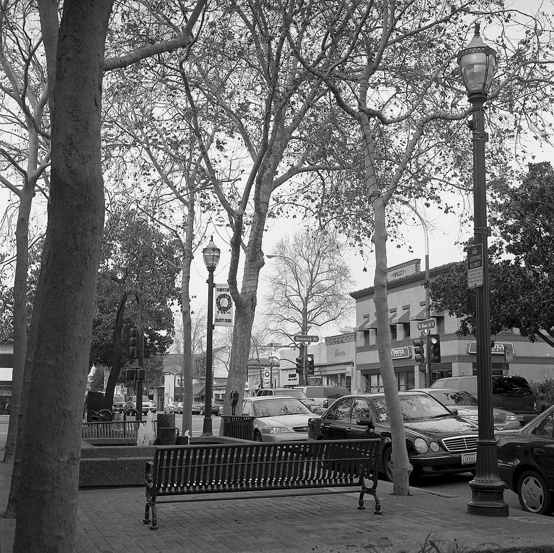 Walnut Creek downtown, looking North
Photograph taken January 2006 by Joseph Ho, copyright of the photographer.