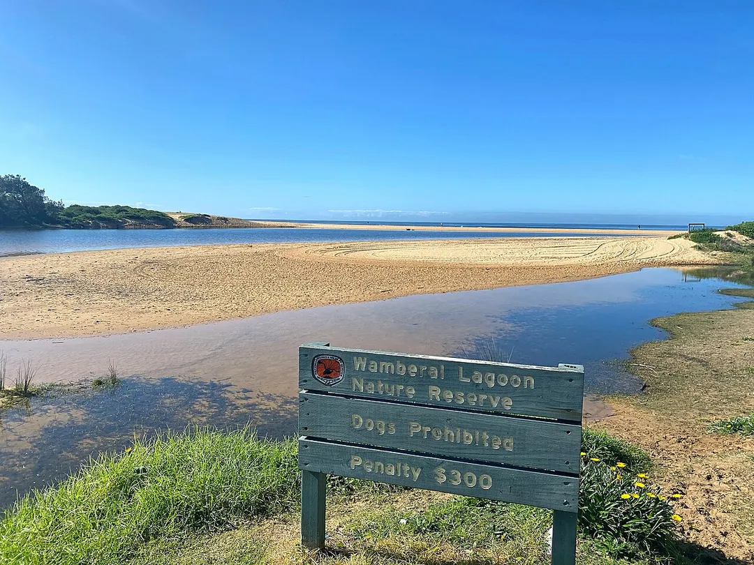 Wamberal Lagoon, New South Wales, Australia