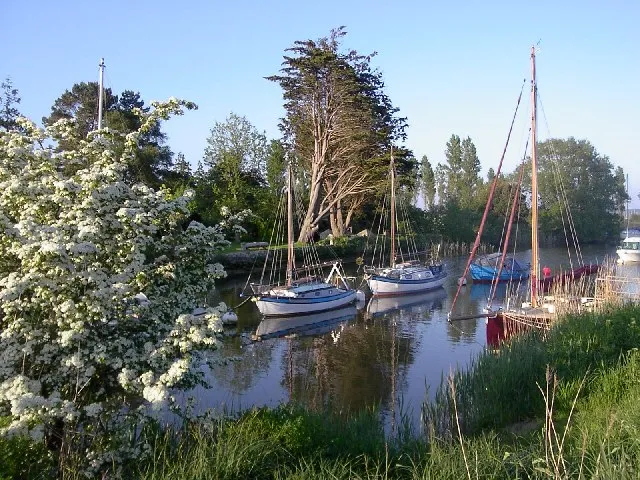 River Frome. Looking East from Wareham