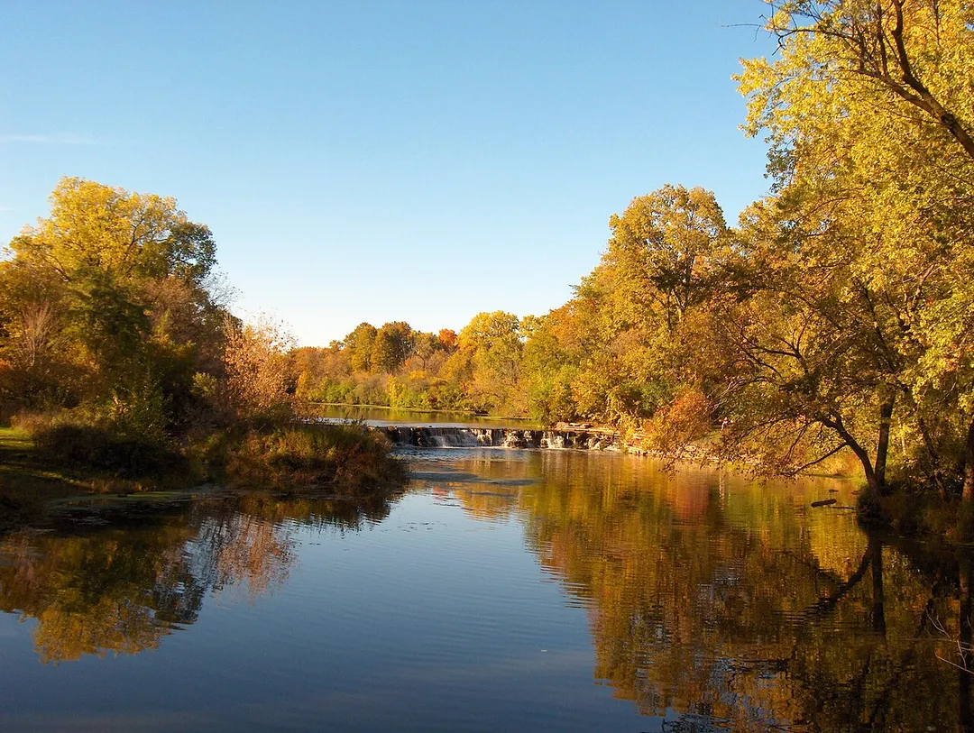 I took this photo at Warrenville Grove Forest Preserve in October, 2005
