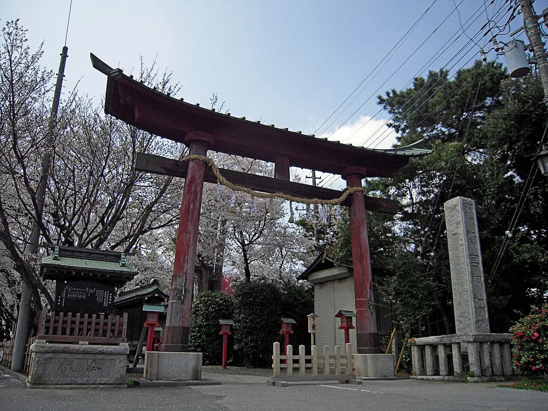Tori of Washinomiya shrine