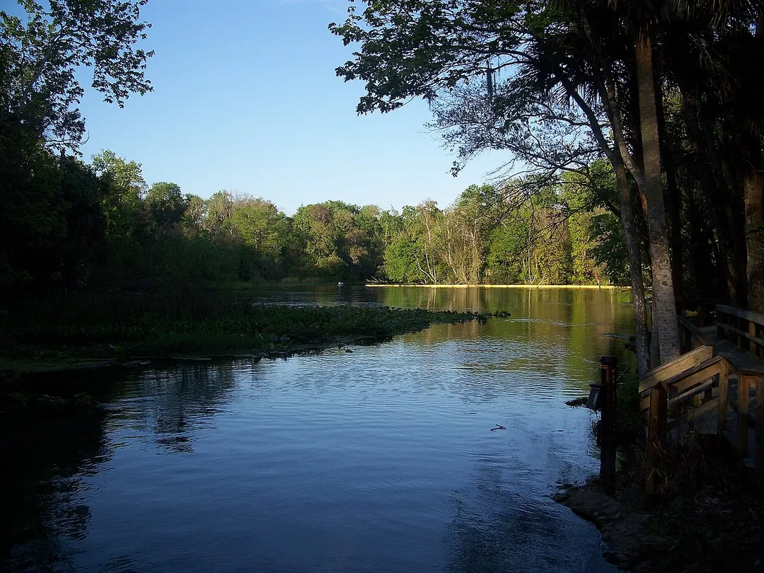 Outflow from the springs in Wekiwa Springs State Park in Apopka, Florida