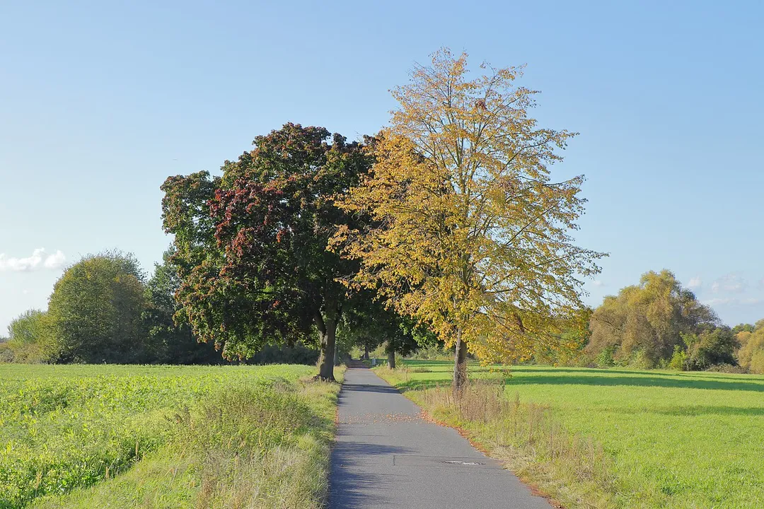 Seligenstadt, district Klein-Welzheim, protected landscape area 'Hessische Mainauen' 2436001 CDDA/WDPA 378476