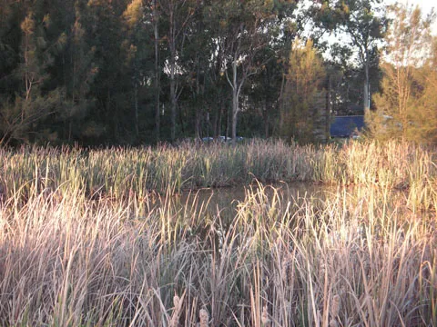 Lake Francis near intersection of Cowpasture Road and Greenway Drive in West Hoxton, NSW