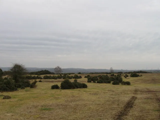 West Wellow Common Looking NW