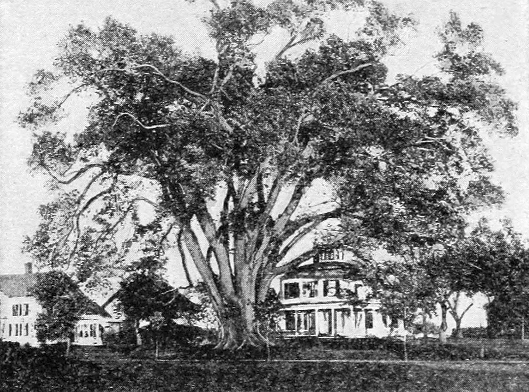 Photo of Wethersfield