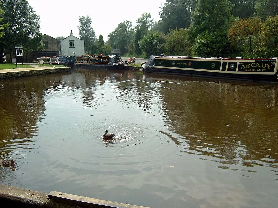 The canal basin in Whaley Bridge on a summer's day
Whaley Bridge Canal basin. Aug 2004, Bill Lionheart

Captioned As
{