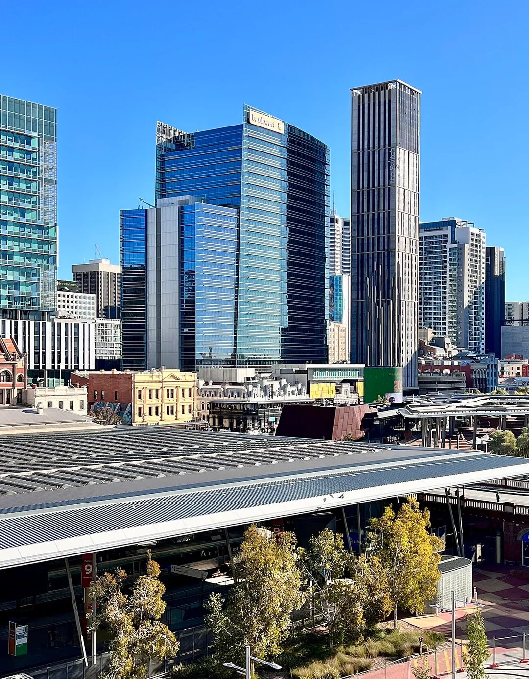 Perth CBD skyline, seen from the Art Gallery of Western Australia, 2022