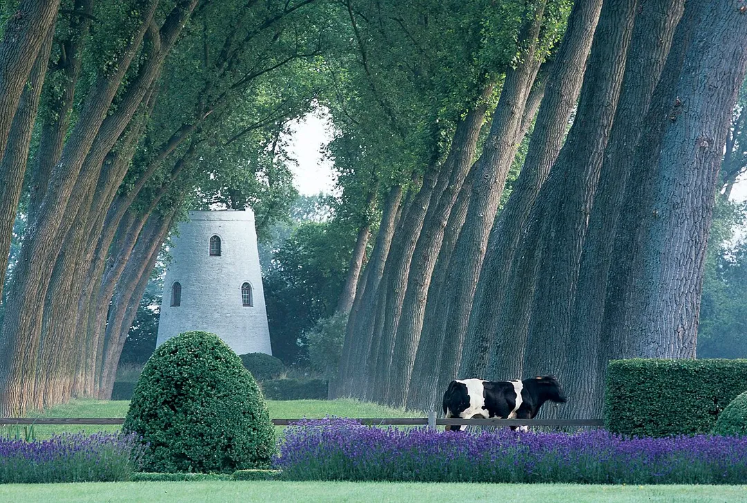 Park of Oostkerke Castle (Damme, BE)