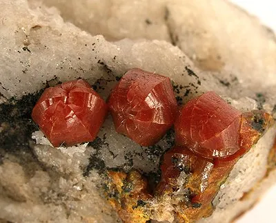 Mimetite, Pyromorphite
Locality: Caldbeck Fells, North and Western Region (Cumberland), Cumbria, England, UK (Locality at mindat.org)
Size: small cabinet, 7.9 x 6.8 x 3.5 cm
Mimetite var. Campylite
My god, the COLOR on these mimetite crystals is crazy good...just a fiery red, the best I have seen of this material for color. They are smallish at 6-7mm, but the "Three Amigos" make quite an impact visually as they sit on this contrasting matrix, Superb specimen for quality, and a neat label as well.