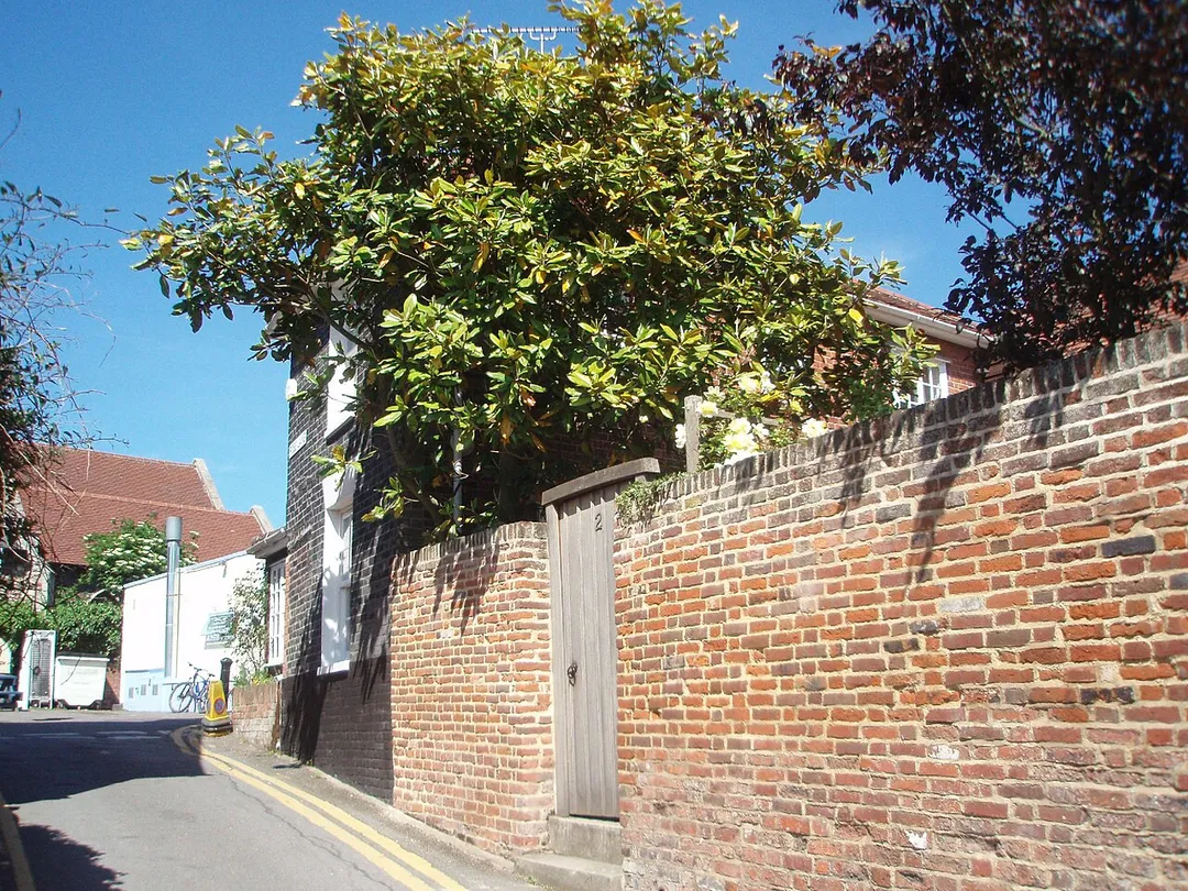 Brick wall on Rose Lane, Wivenhoe, Essex. Looking towards the junction with East Street. Actress Joan Hickson (OBE), who played Miss Marple in the well known tv-series, lived here from 1958 until 1998. A plaque (not seen here) has been erected on the house where she lived for 40 years.