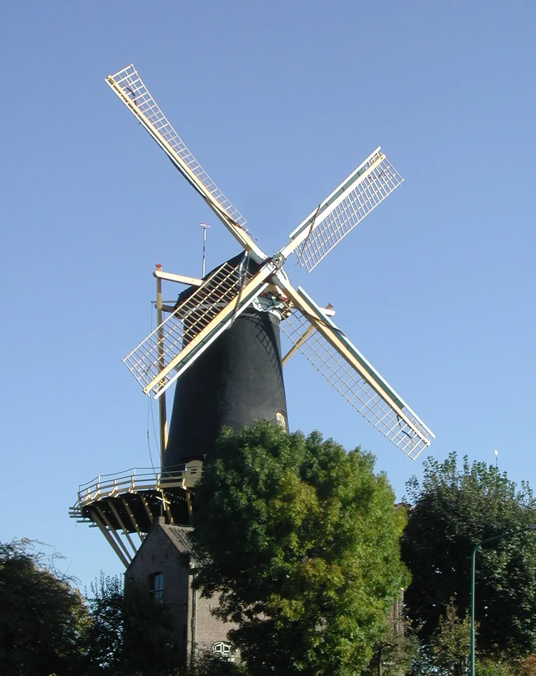De Windhond, Woerden