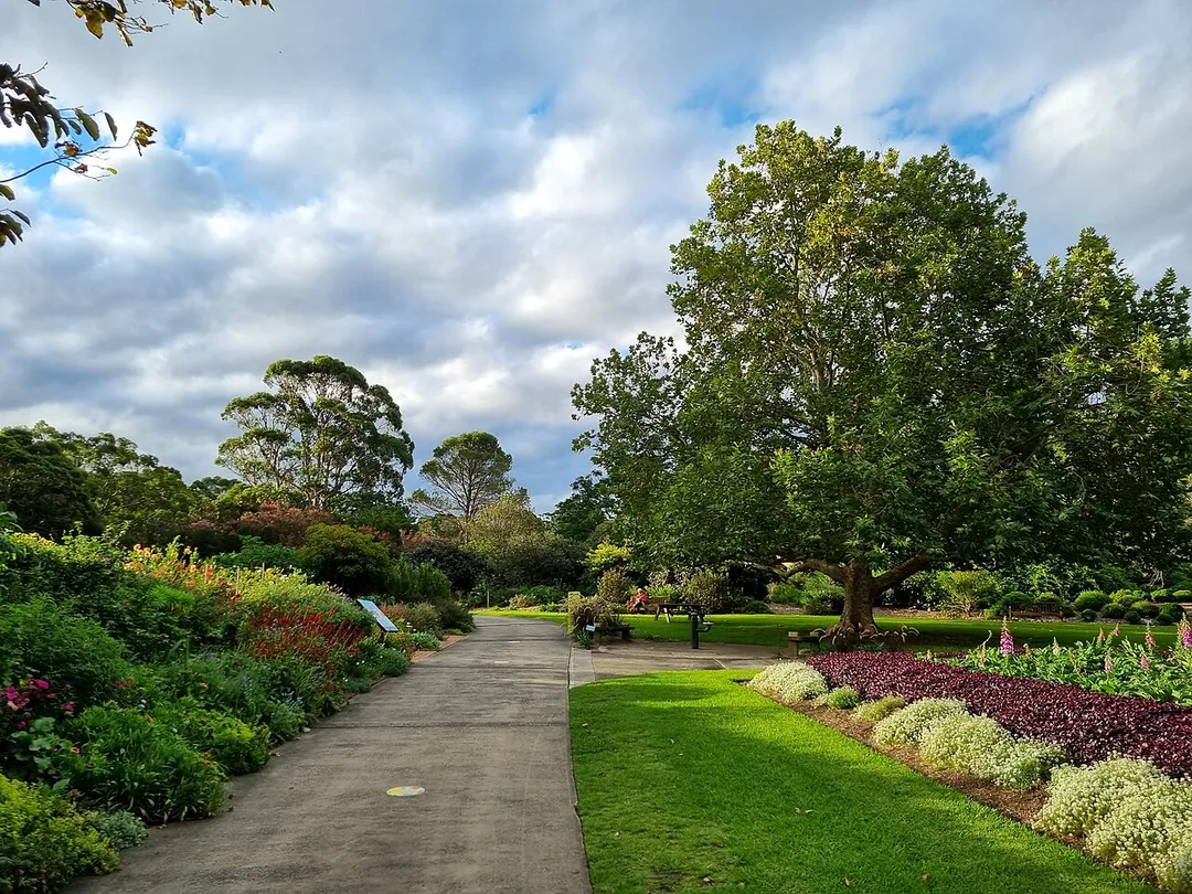 Wollongong Botanic Garden