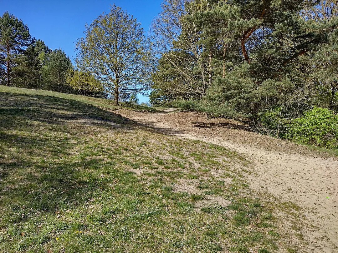 Woltersdorf (bei Berlin): Fuchsberge Binnendüne: Weg Tiroler-Steig'
