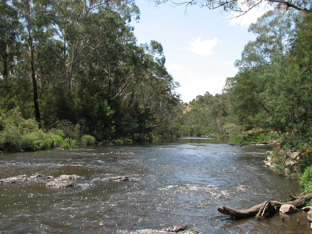 Yarra River, Wittons Reserve, Wonga Park, Victoria, Australia