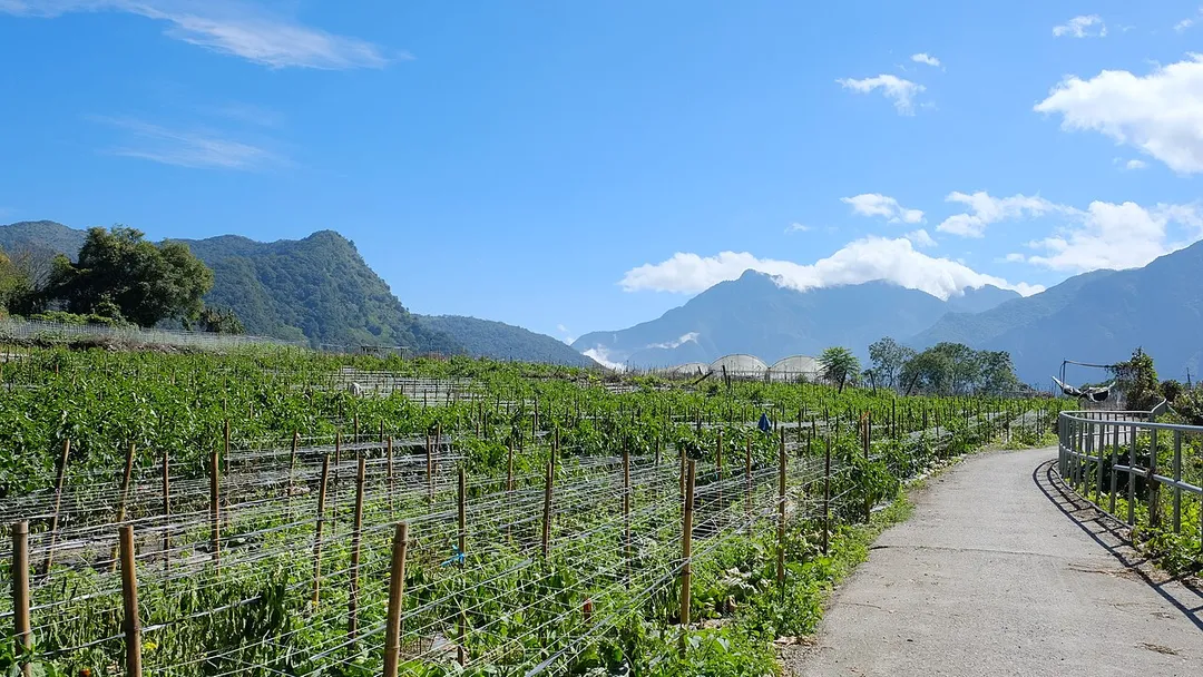 ​2023 台灣花蓮縣秀林鄉西寶  Sibao, Xiulin Township, Hualien, Taiwan