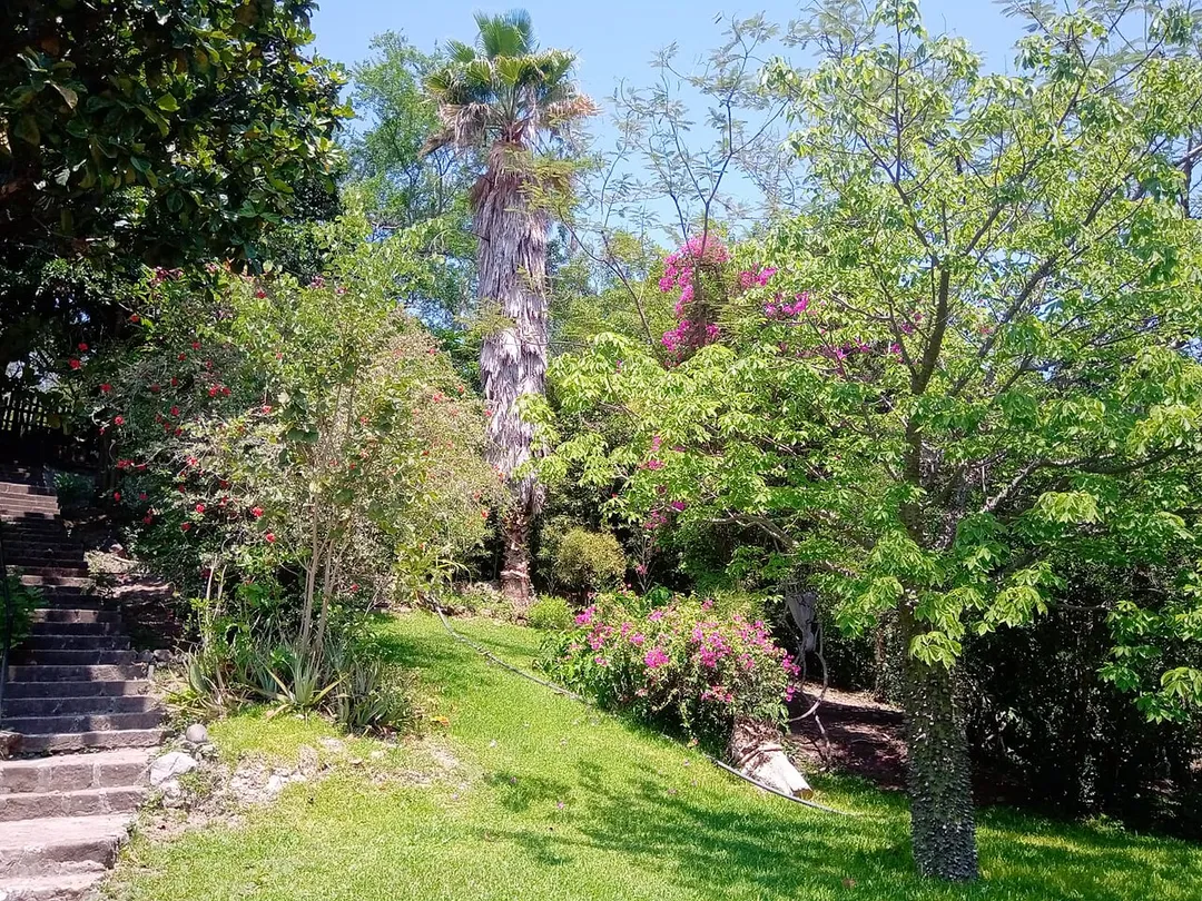 Vista de un jardín en zona rural de Xoxocotla, Morelos, México. En primer plano a la derecha se puede ver una ceiba en flor.