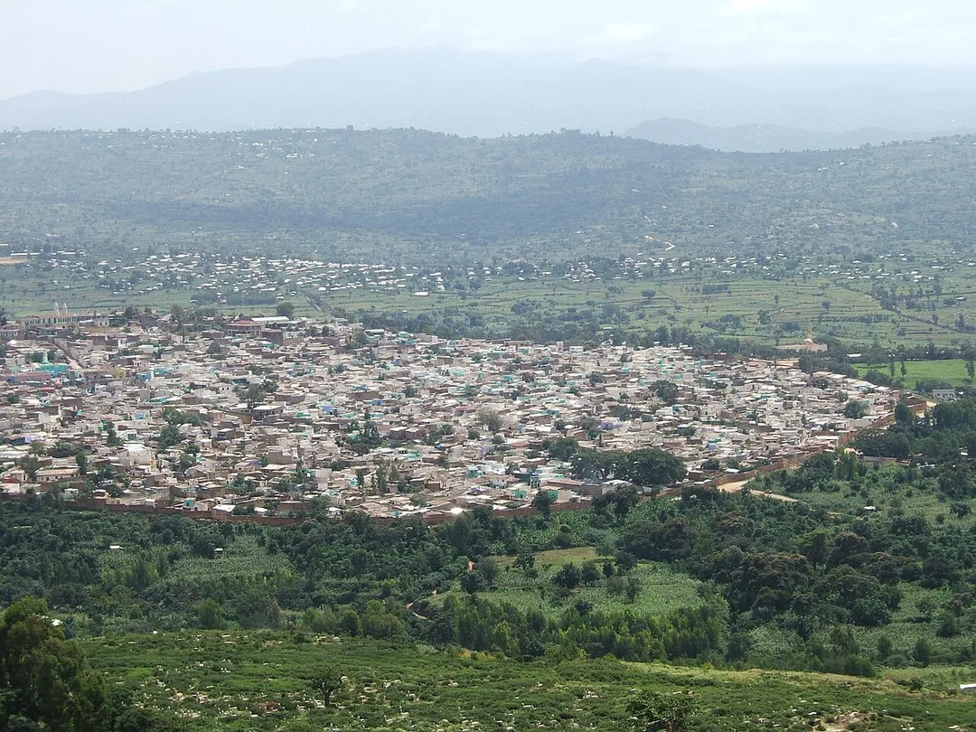Photo of Yirga Ch’efē
