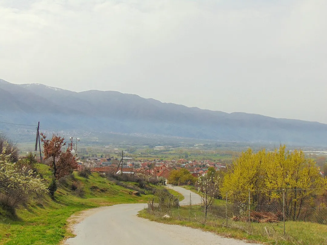 Ново Село