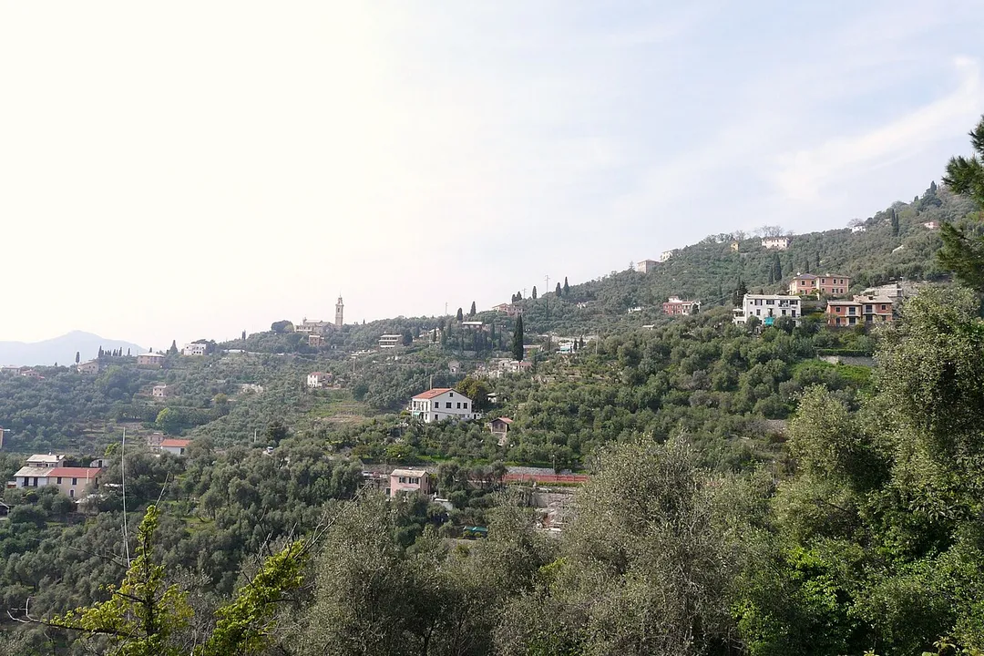 Sant'Ambrogio, Zoagli, Liguria, Italia