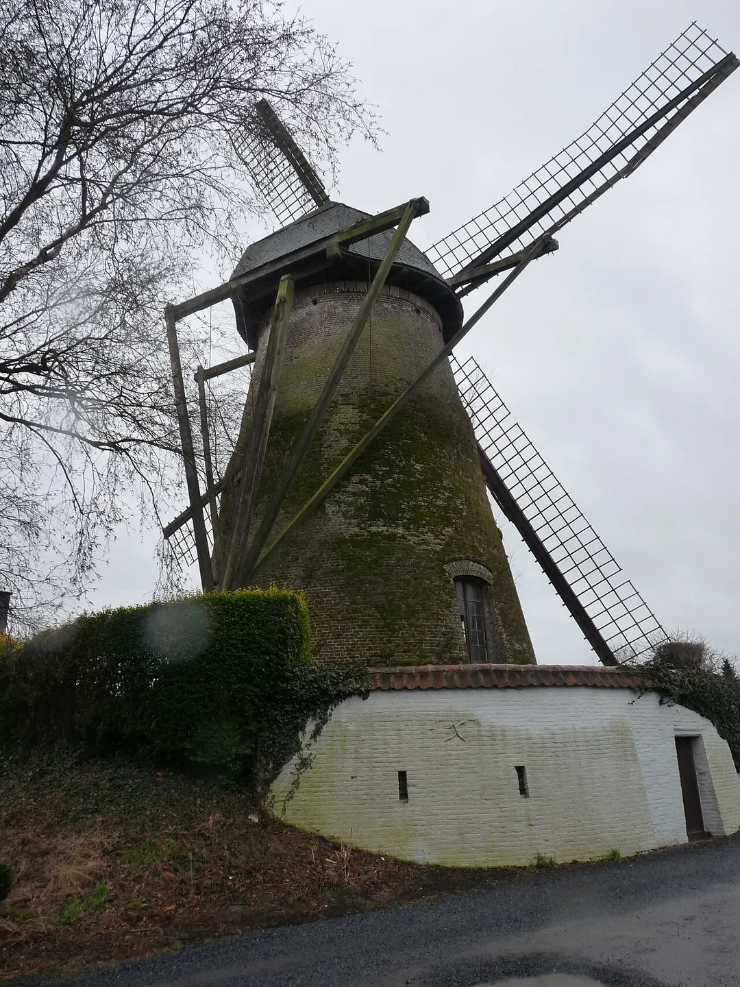 De windmolen in Zwijnaarde op een grauwe wintermiddag